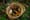 Грибы в сентябре 2026: как собрать без риска и заготовить на зиму без потерь
