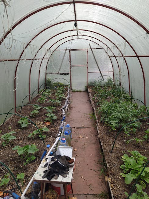 Грядки на даче: высокие, тёплые и из чего их делать