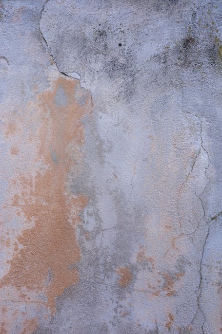 Штукатурка стен: гипсовая или цементная, ручная или машинная