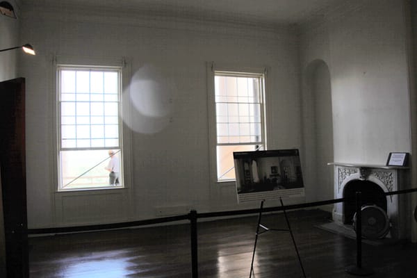 Плесень в квартире: причины и как избавиться