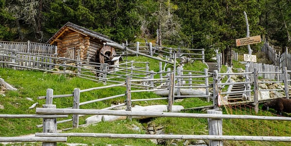 Забор для дачи: профнастил, штакетник или сетка